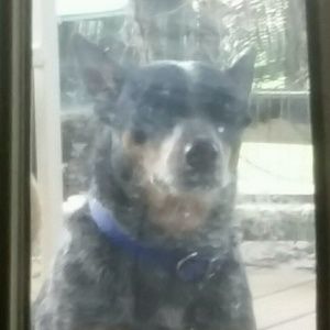 Meet your Posher, Chas